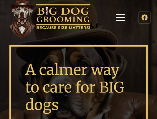 Our Partnership with Big Dog Grooming