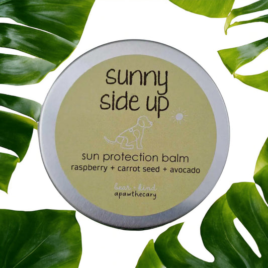 Bear and Kind Apawthecary - Sunny Side Up Sun Protection Balm (50g Tin) - Boogs & Poods