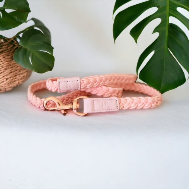 HGP Luxury Pet Accessories - Dog Lead Baby Pink Plaited - Boogs & Poods