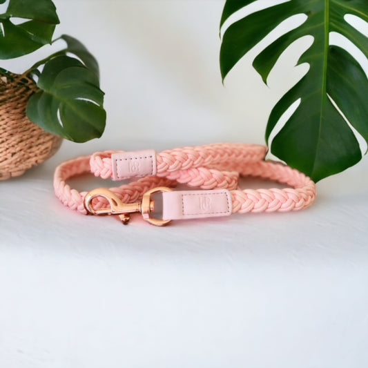 HGP Luxury Pet Accessories - Dog Lead Baby Pink Plaited - Boogs & Poods