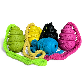 Colorful dog toys with textured balls and ropes on a white background