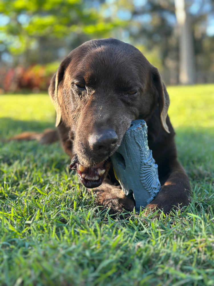 strong rubber toy withstanding the chewing of a big dog
